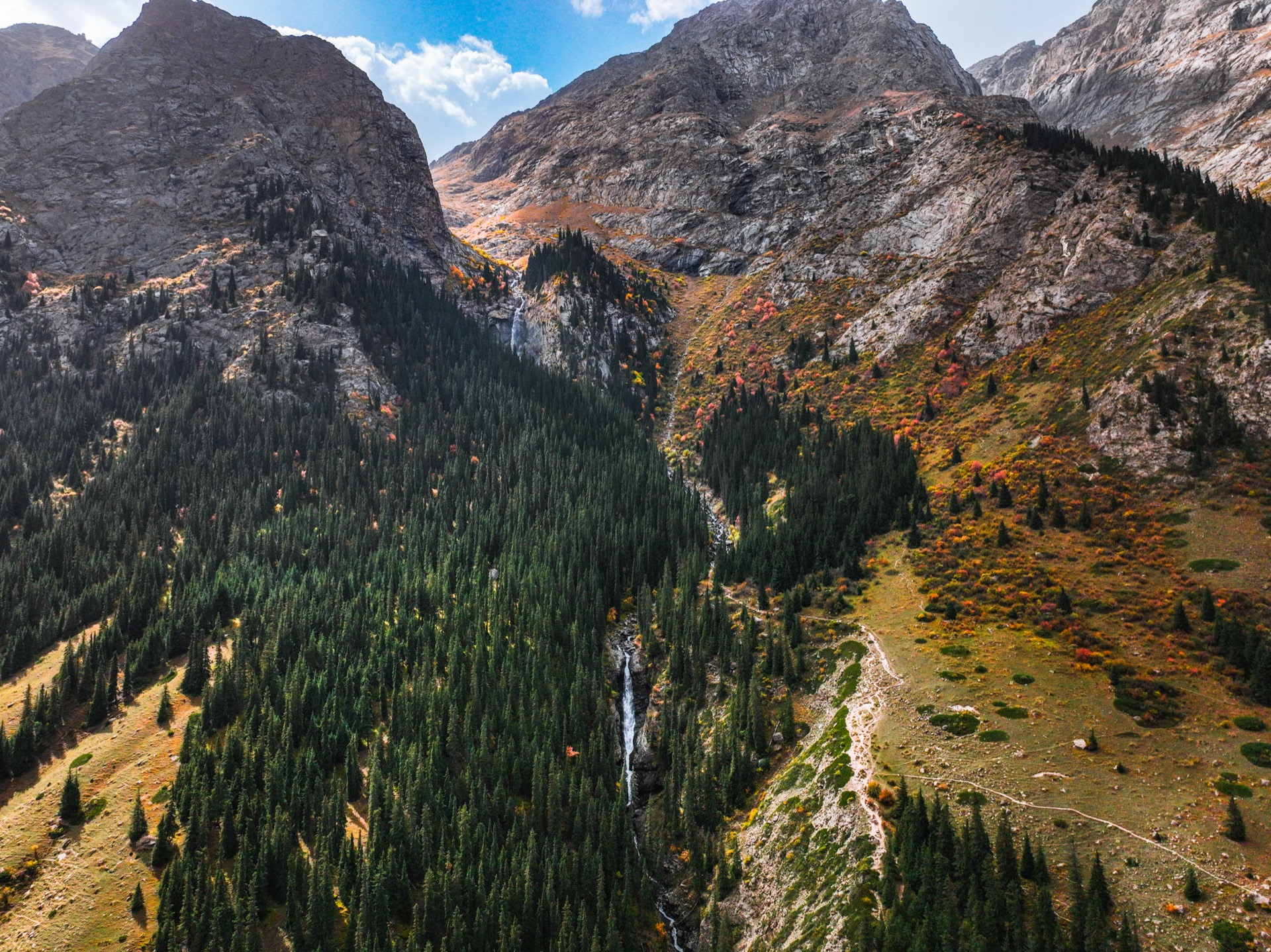 Pine-forested Barskoon Gorge
